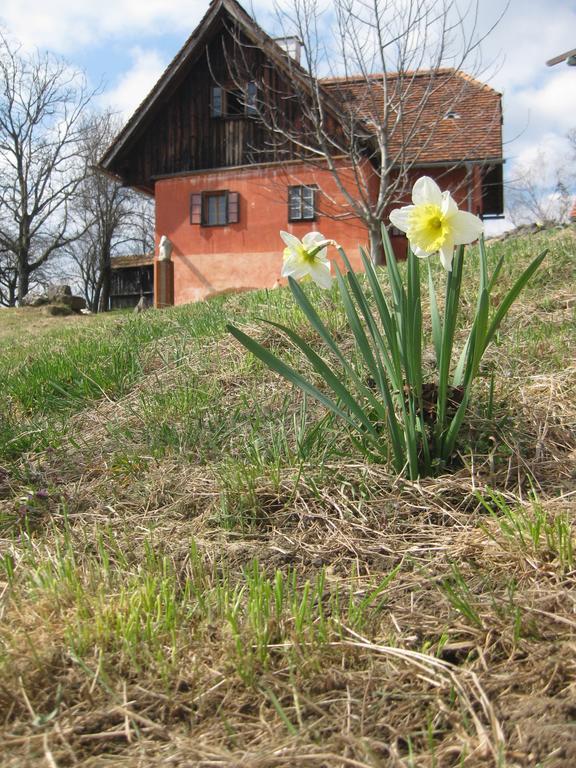 Ferienwohnungen Sonnenberg Ratsch an der Weinstraße Extérieur photo